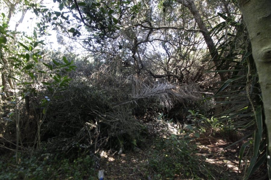 Commercial Property for Sale in Noorsekloof Eastern Cape